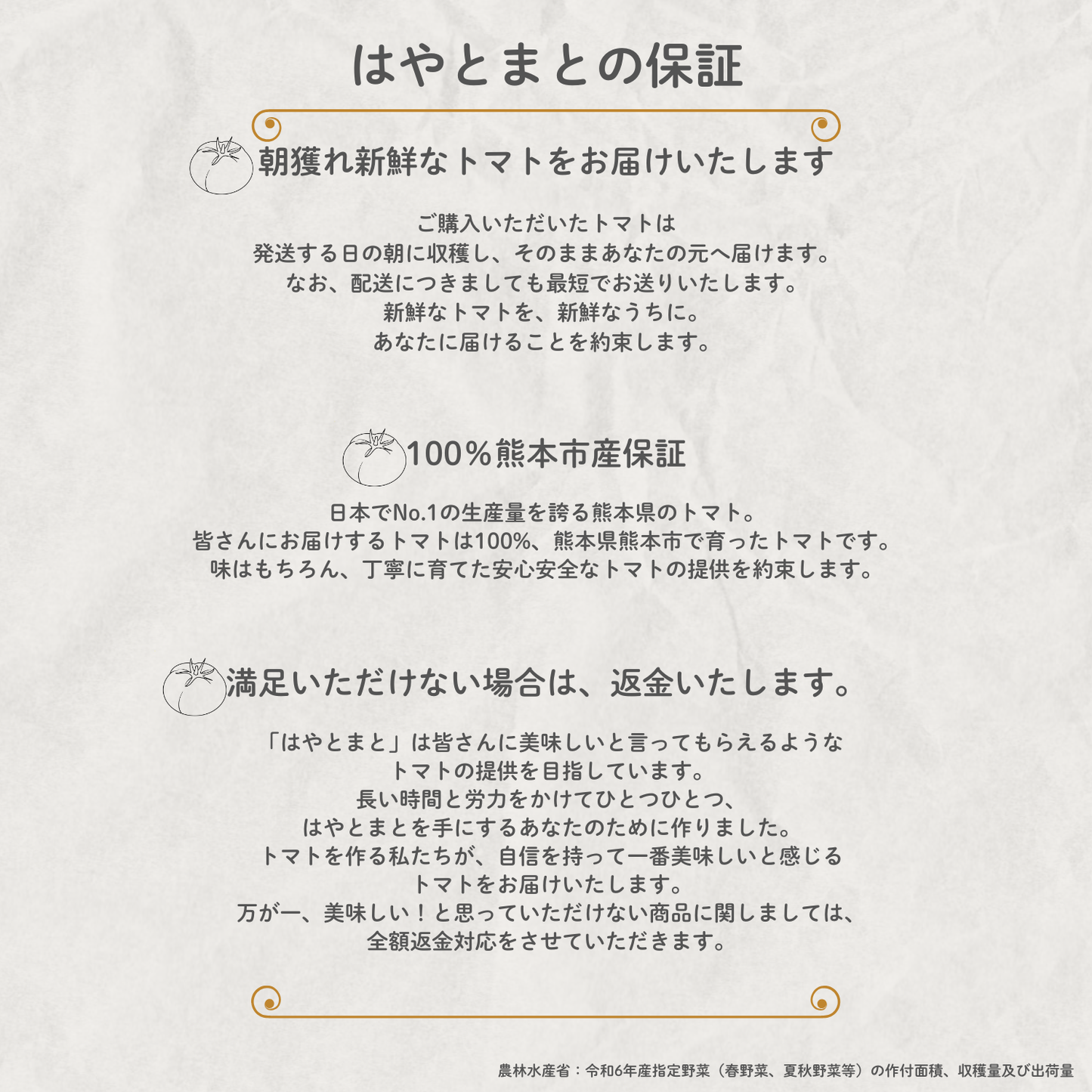 限定100箱 熊本市産 完全樹熟「はやとまと」1kg