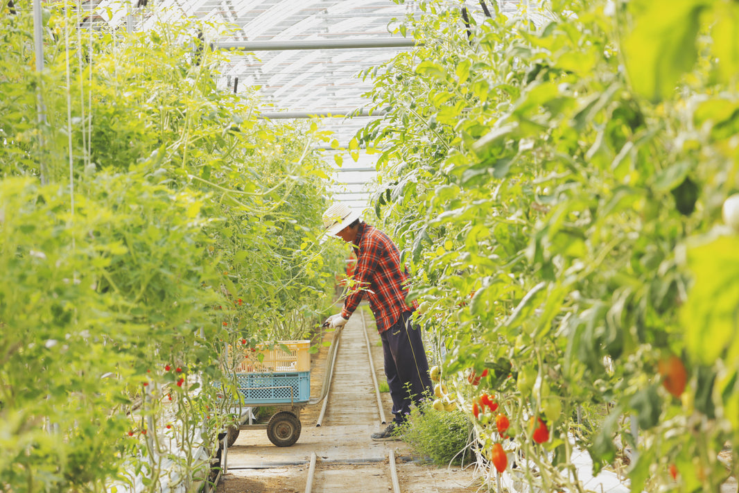 image in image with text