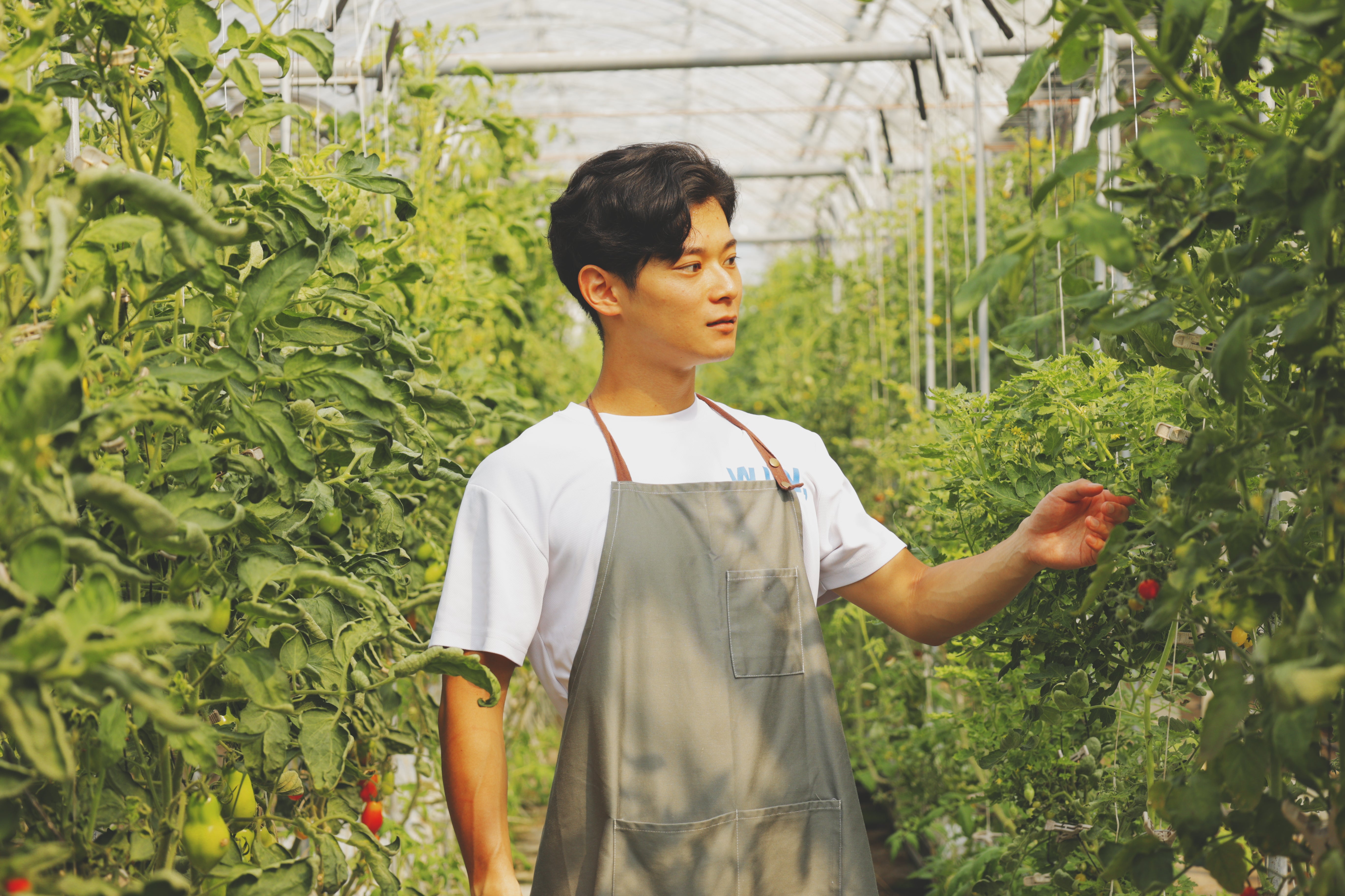 hero placeholder image