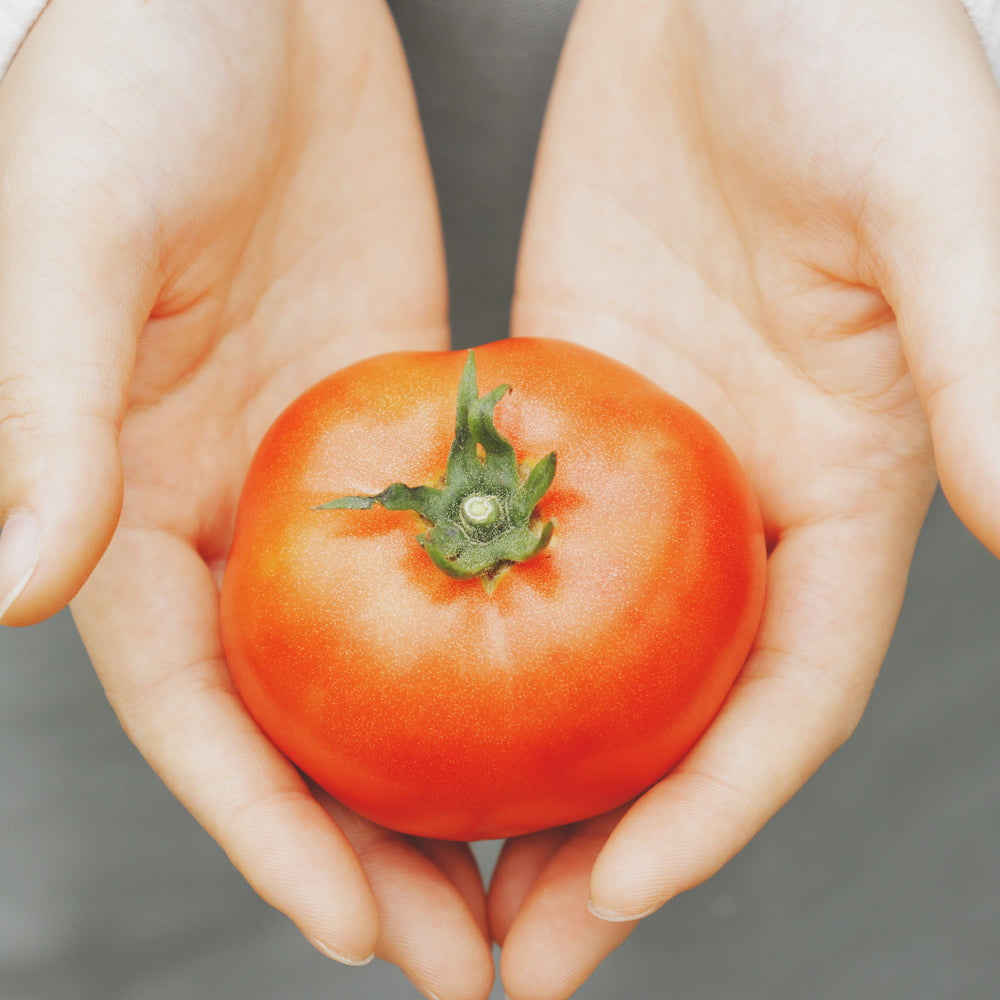 限定100箱 熊本市産 完全樹熟「はやとまと」1kg